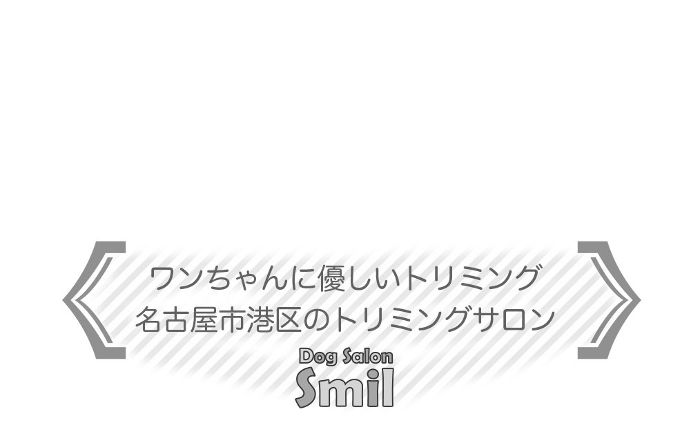 ワンちゃんに優しいトリミング 名古屋市港区のトリミングサロンDog Salon Smil